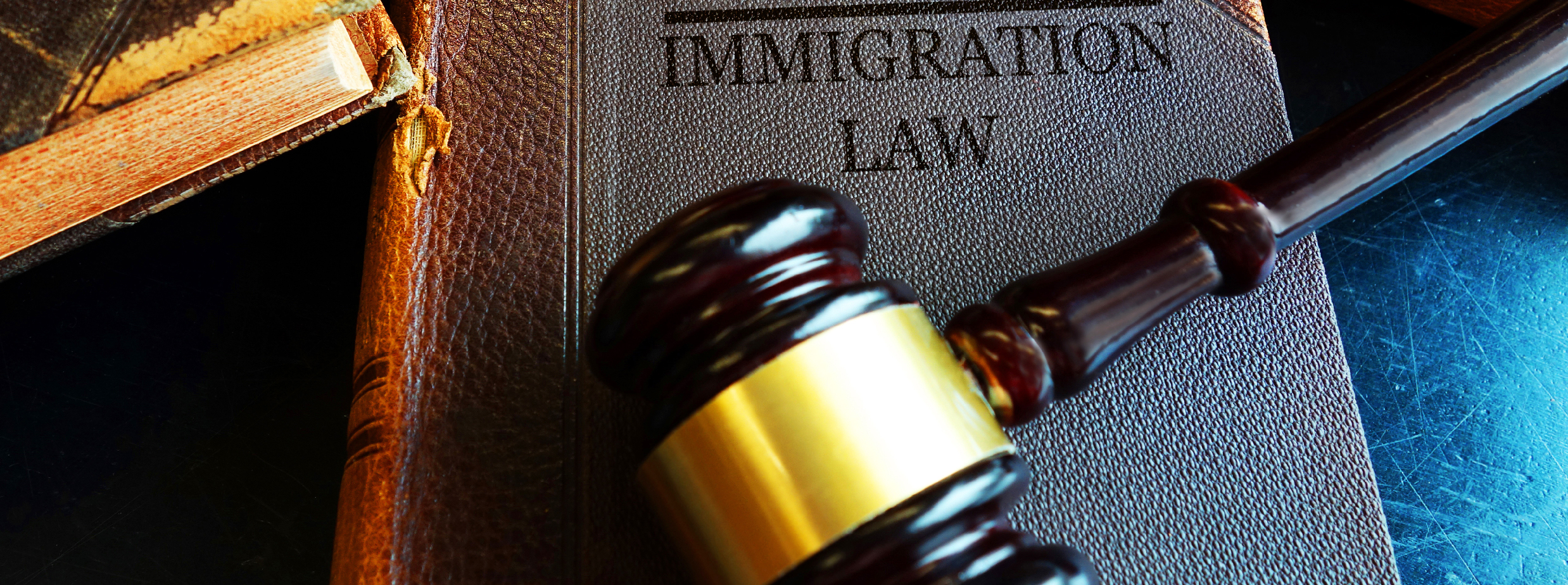 Immigration lawyer for Federal Litigation