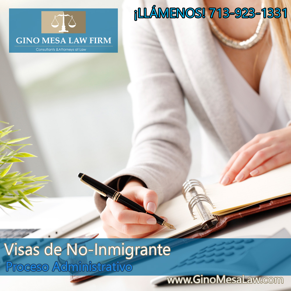 17-visas-de-no-inmigrante-2014