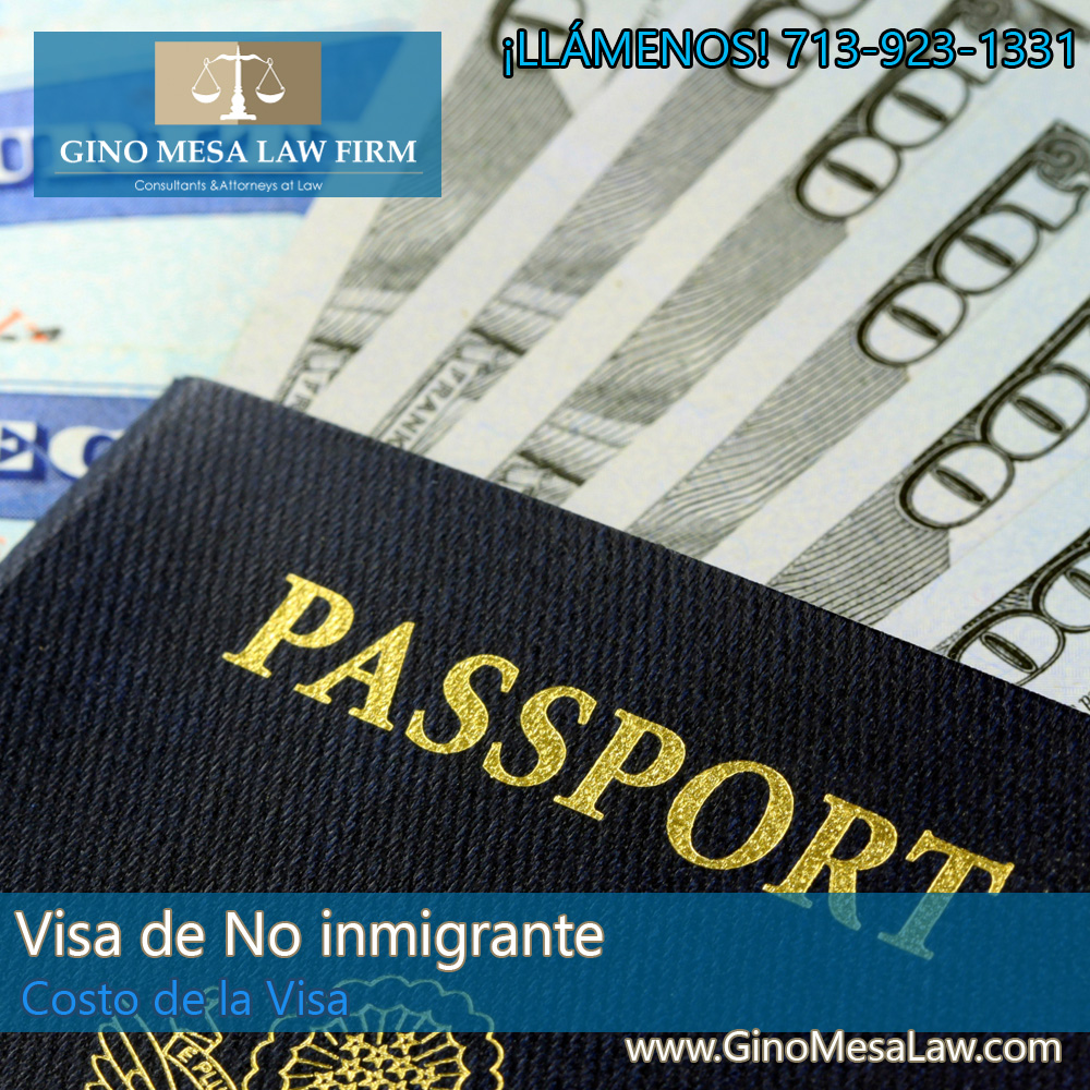 25-visa-de-no-inmigrante-2014