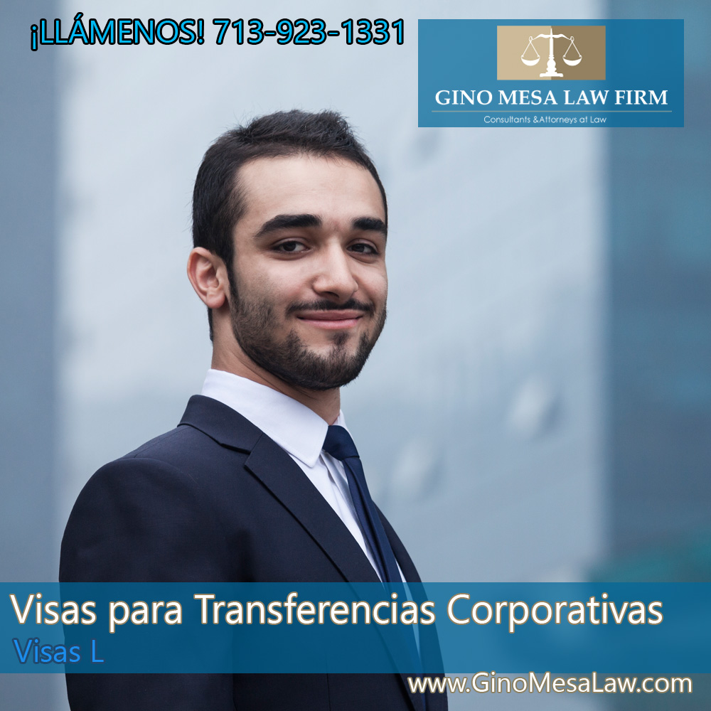 13-visas-para-transferencias-corporativas